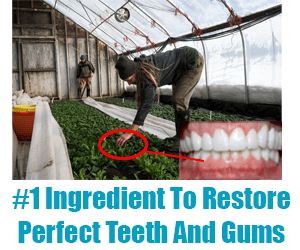 Navy Teeth Repair Hack 