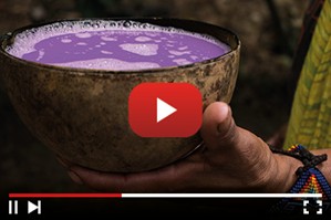 The Ancient Male Tonic