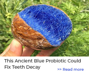 This Ancient Blue Probiotic Can Fix Your Gums & Teeth
