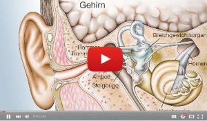 Stop Weird Sounds in Your Ears
